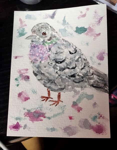 Aquarelle d'un pigeon