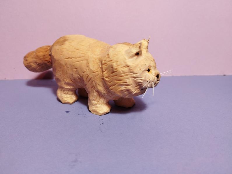 le même chat vu d'un autre angle