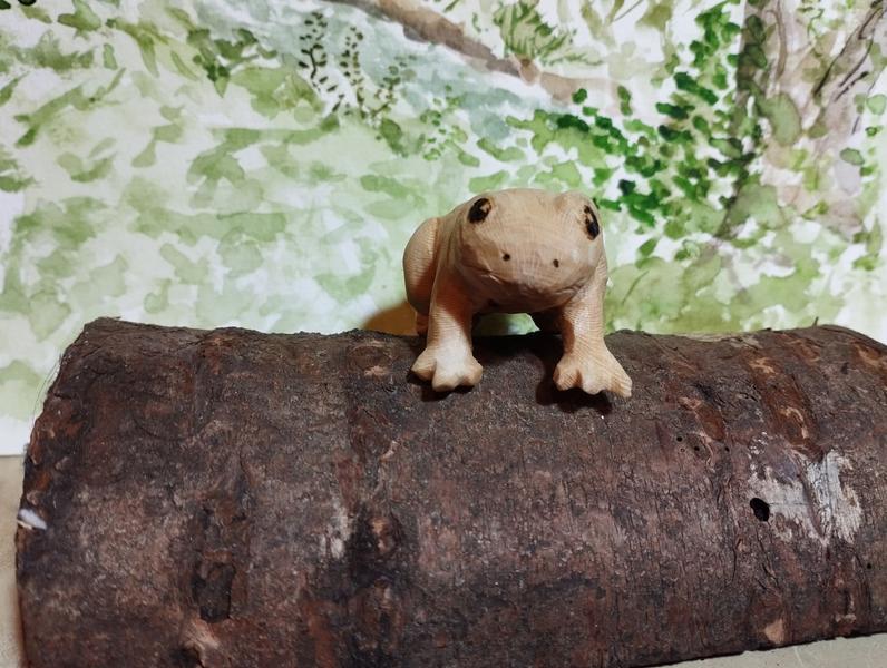 une grenouille en bois, vue de face.