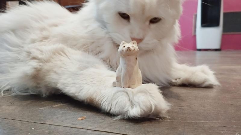 Un potichat en bois posé sur une patoune d'un maine coon blanc. Il regarde la sculpture avec circonspection