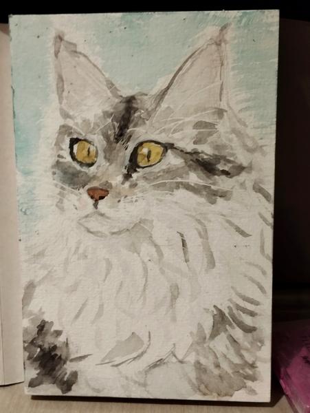 Aquarelle d'une chatte maine coon grise et blanche 