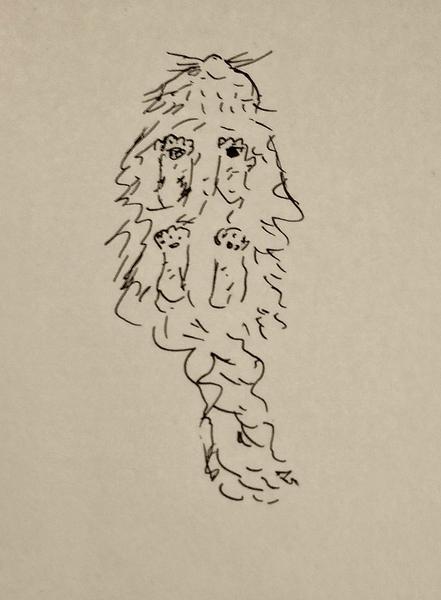 Dessin au feutre d'un chat à poils longs vu de dessous comme si il était posé sur une vitre 