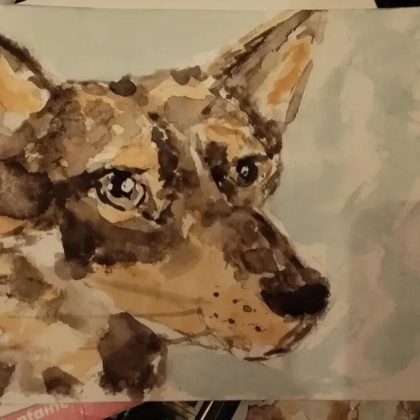 Aquarelle d'un beau chien, un berger 