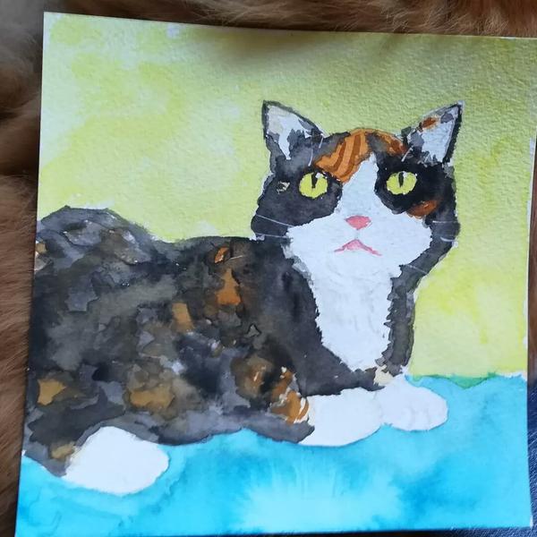 aquarelle d'une chatte tricolore