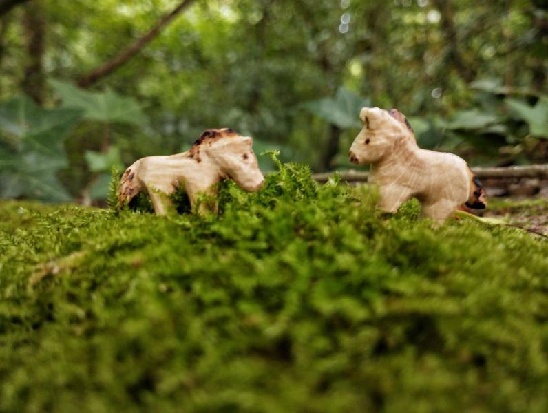 Deux petits chevaux en bois sur un pré de mousse