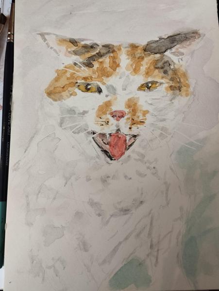 aquarelle d'une chatte blanche, taches tigrées dur la tête qui baille