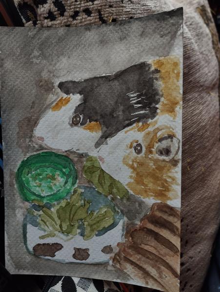 Aquarelle de deux cochons d'inde qui mangent de la salade 