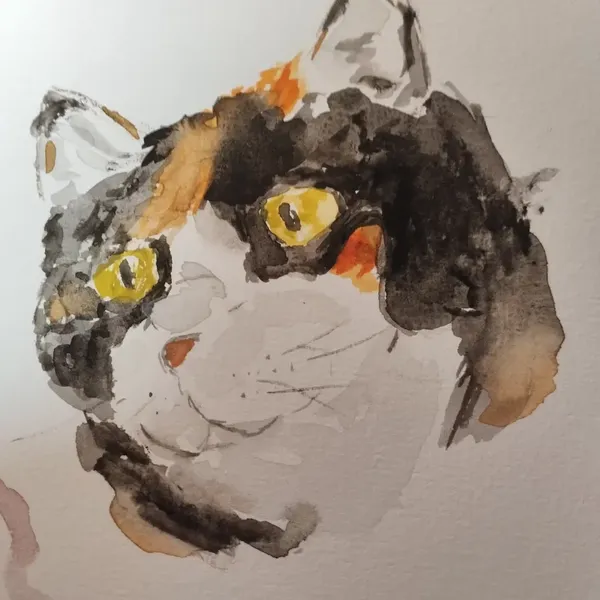 Aquarelle d'une chatte tricolore 