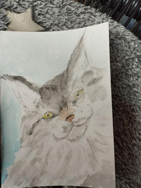 Aquarelle d'une chatte maine coon grise, la tête penchée