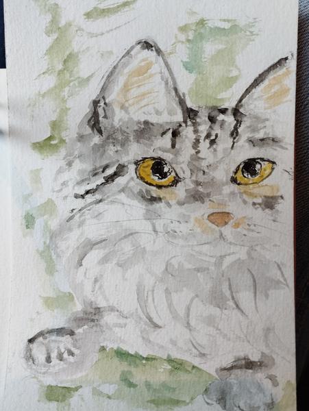 Aquarelle d'un chat gris à poils longs 
