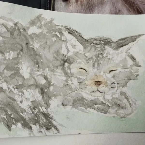 Aquarelle d'une Maine coon grise qui dort 