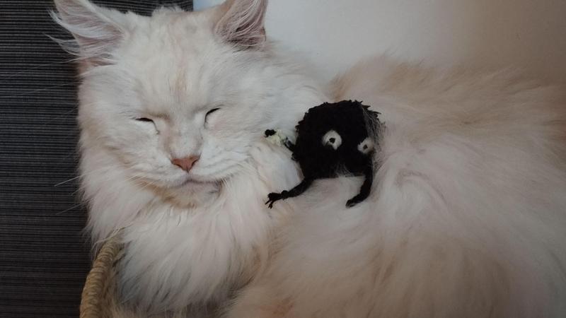 Photo d'une noiraude crochetée. Elle a un regard énervé. Elle est prête à jeter sa paillette comme un cocktail molotov. Elle est assise sur un gros maine coon blanc qui tape sa meilleure sieste