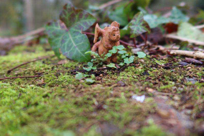 Le dragon qui regarde des petites plantes