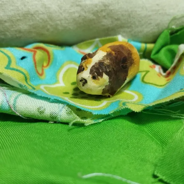 Un cochon d'inde tricolore en bois 