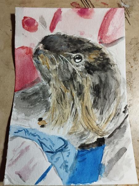 Aquarelle d'un cochon d'inde à poils longs