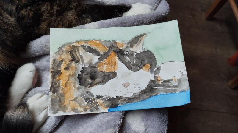 Aquarelle de Nola, chatte tricolore 