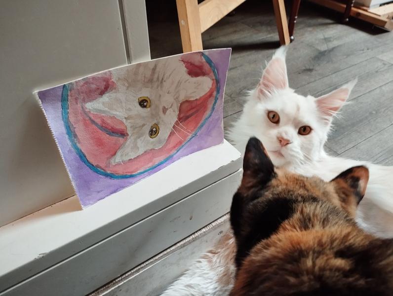 Même photo que précédemment mais avec une chatte tricolore qui s'interpose entre le chat et l'objectif 