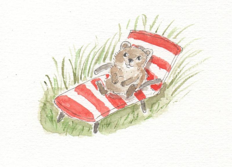 watercolor of a quokka sitting on a lawn chair with white and red strippes