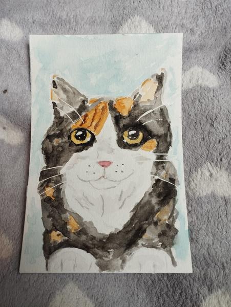 Aquarelle d'une chatte tricolore 