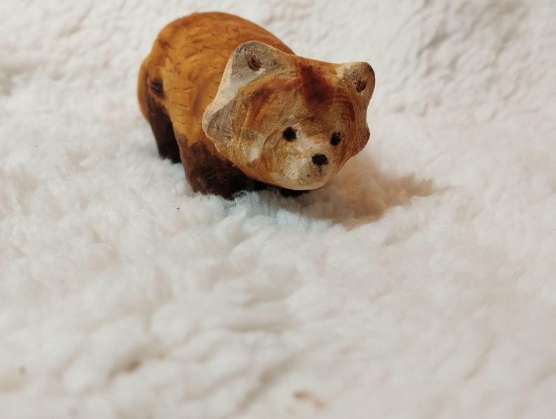 le panda roux vu sous un autre angle