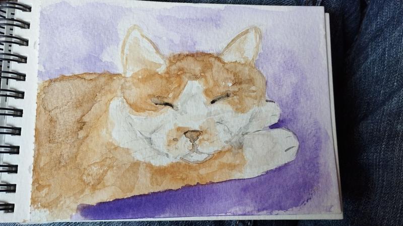 Aquarelle d'un chat roux beige et blanc qui dort 
