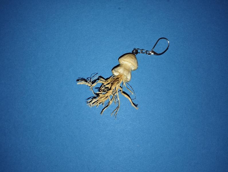 Pendentif méduse en bois 