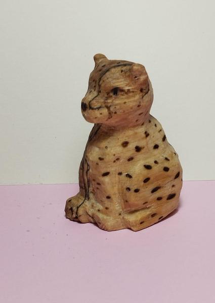 Autre angle de vue du guépard