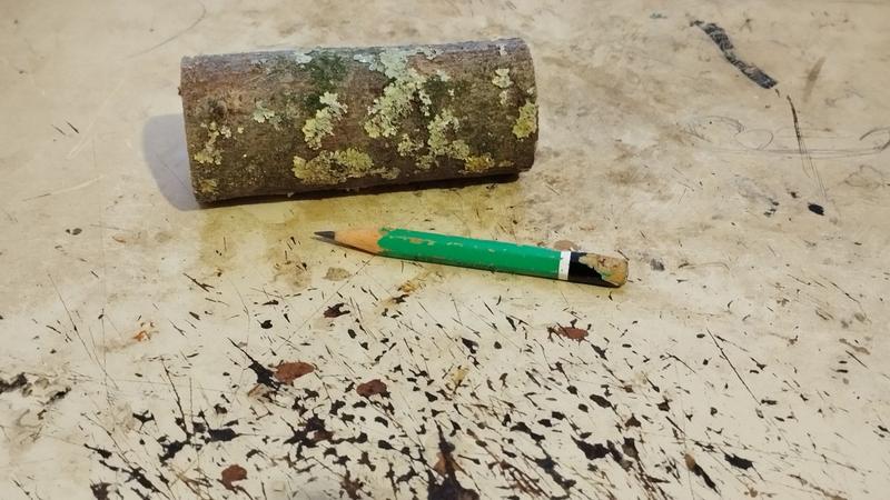 Un morceau de bois avec son écorceSur la photo, il y a aussi un crayon gris 