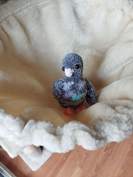 Un pigeon au crochet, dans un panier