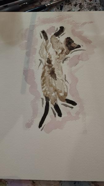 Aquarelle d'une siamoise qui s'allonge en vrillant son corps