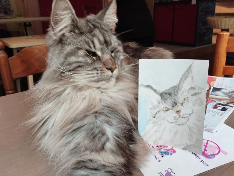 L'aquarelle à côté de la vraie chatte, qui pose fièrement, une patte étirée