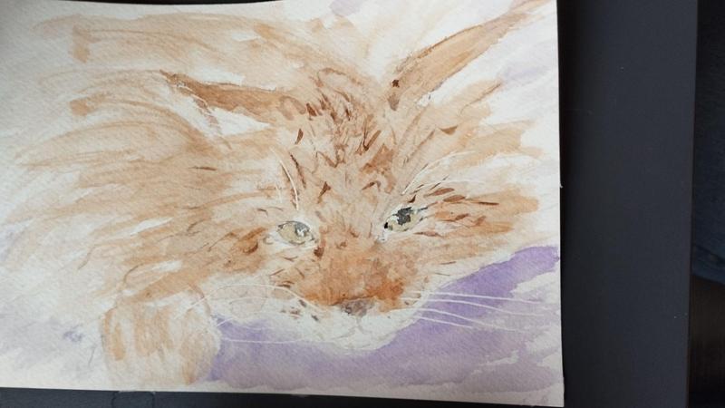 Aquarelle d'un maine coon roux
