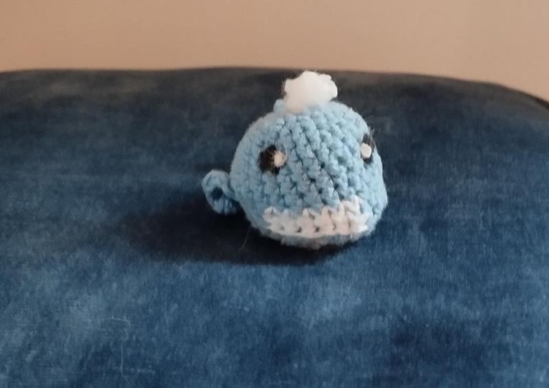 La baleine vue de face, elle fait une grimace 