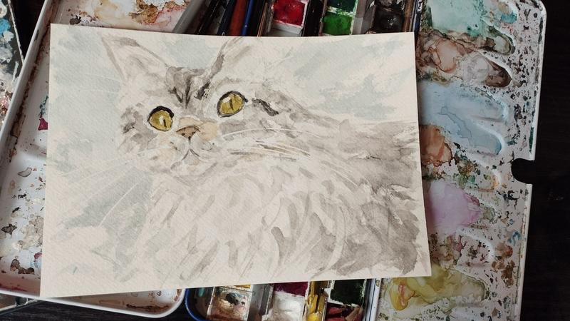 Aquarelle d'une maine coon grise et blanche qui regarde en grand