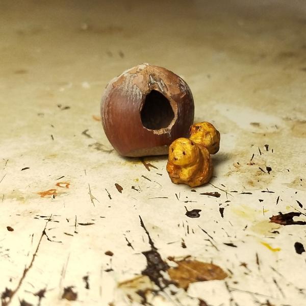 Un petit écureuil en bois devant une noisette trouée