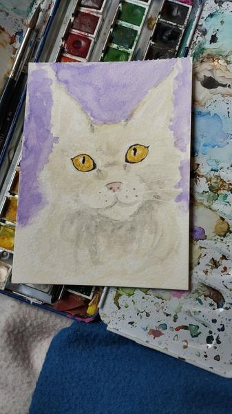 Aquarelle d'un Maine coon blanc beige 