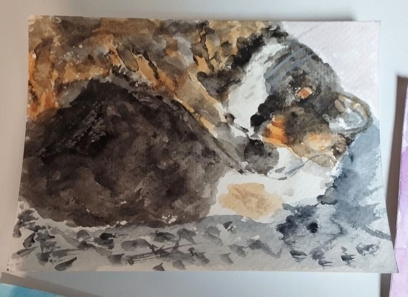 Aquarelle d'une chatte tricolore qui dort en boule 