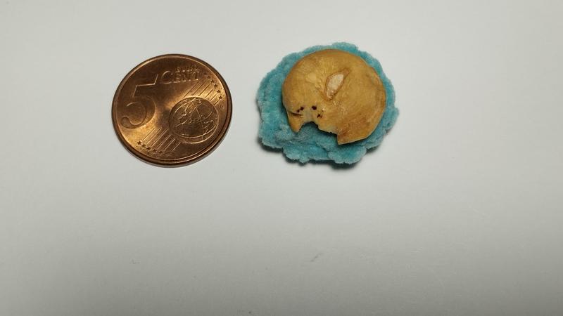 Une sculpture de chat qui dort en boule sur un panier crocheté. À gauche, une pièce de 5 centimes. La sculpture a le même diamètre que la pièce