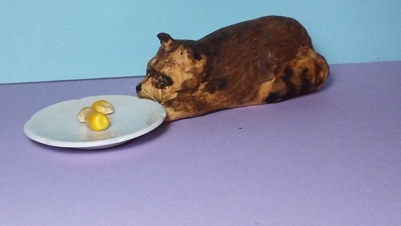 Le raton laveur vu de profil avec sa queue rayée