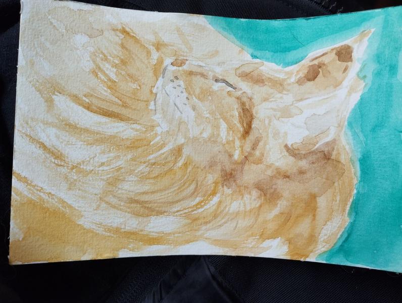 Aquarelle de tyson 