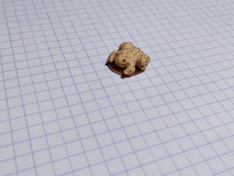 La grenouille sur la pièce, elle déborde un petit peu 