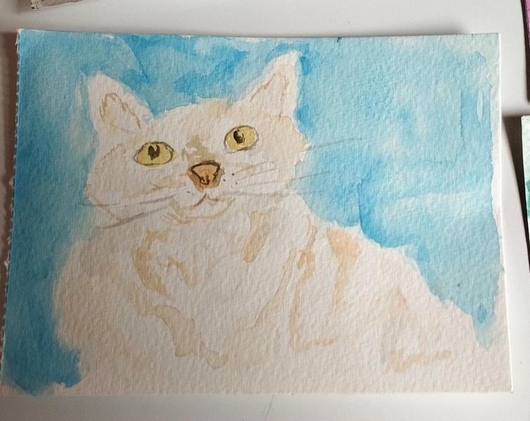 Aquarelle d'un chat blanc et beige 