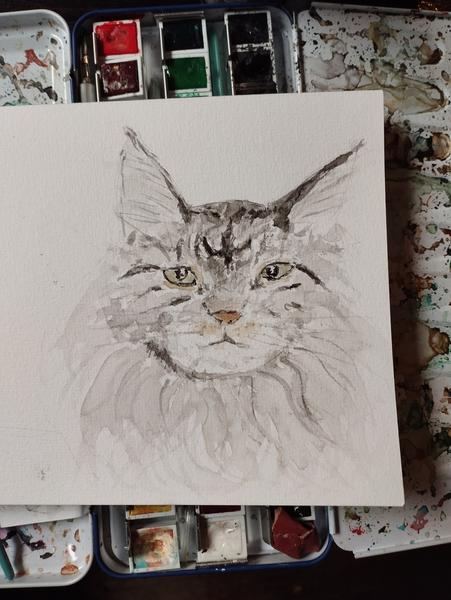 Aquarelle d'une main coon grise 