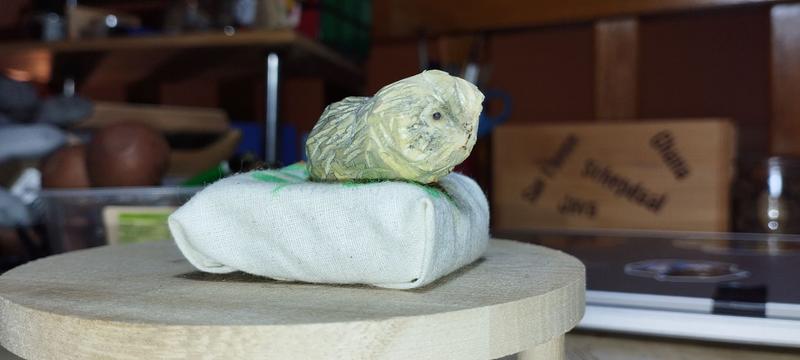 Un petit cochon d'inde en bois, à poils longs, gris et blanc 