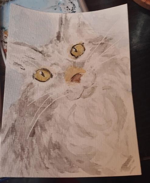 Aquarelle d'une chatte maine coon grise et blanche. Elle penche sa tête