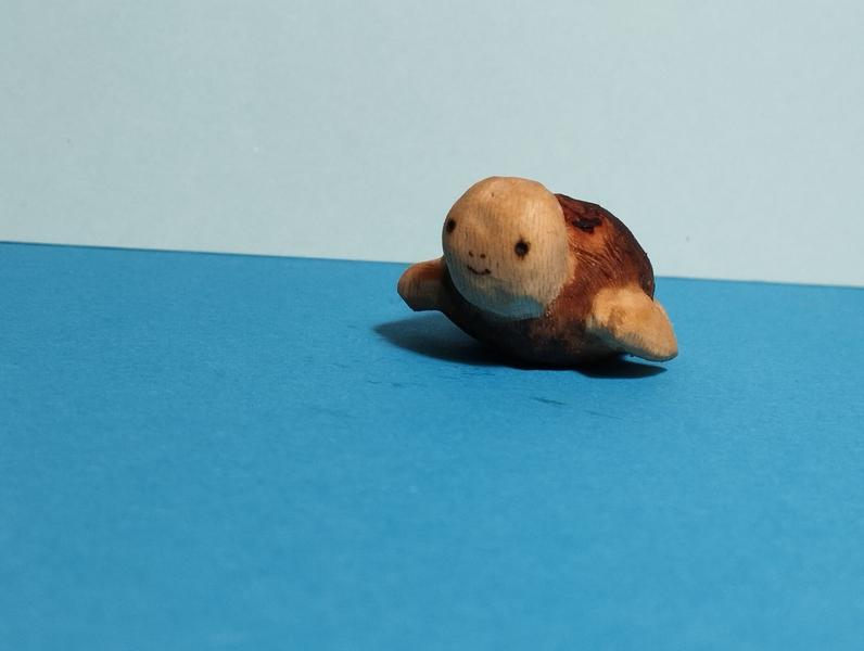 Autre vue, sur le visage souriant de la tortue