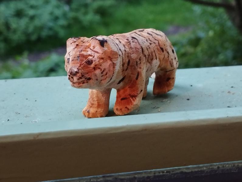 Autre vue du tigre 