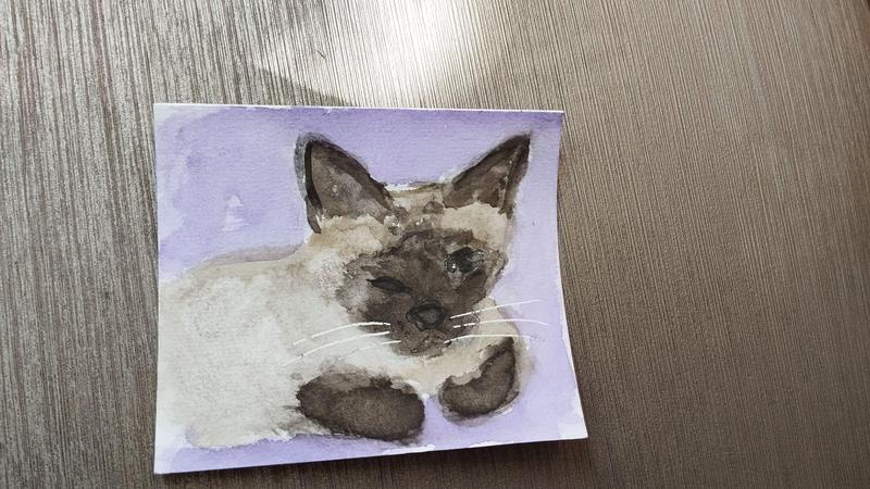 Aquarelle un chat siamois