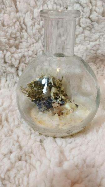 Scène miniature dans une fiole : un renard et un hérisson sont devant leur maison enneigée