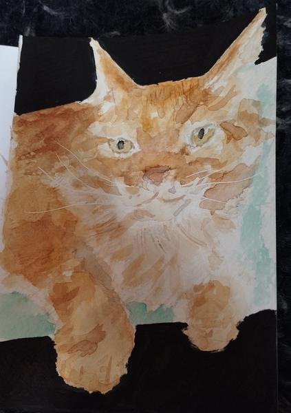 Aquarelle d'un Maine coon roux